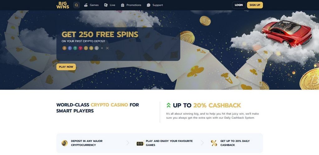 BigWins Gambling Enterprise - Read 3 Vital Things Before 200 Cash Money Spins