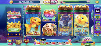 골드피쉬 도메인 브랜드 전략과 운영 가이드