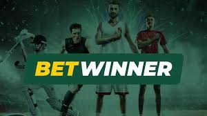 Everything You Need to Know About BetWinner APK File Everything You Need to Know About BetWinner APK File