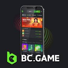 Exploring the Diverse Payment Methods of BC Game Exploring the Diverse Payment Methods of BC Game