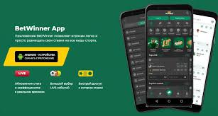 Complete Guide to the BetWinner Registration Process