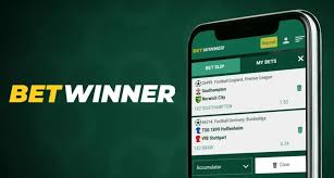 Discover the Exciting World of BetWinner Online Casino
