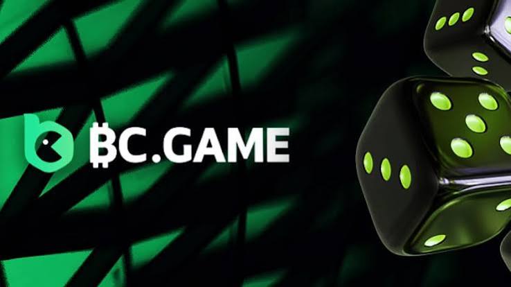 Understanding the BC.Game Mirror Login Process A Comprehensive Guide